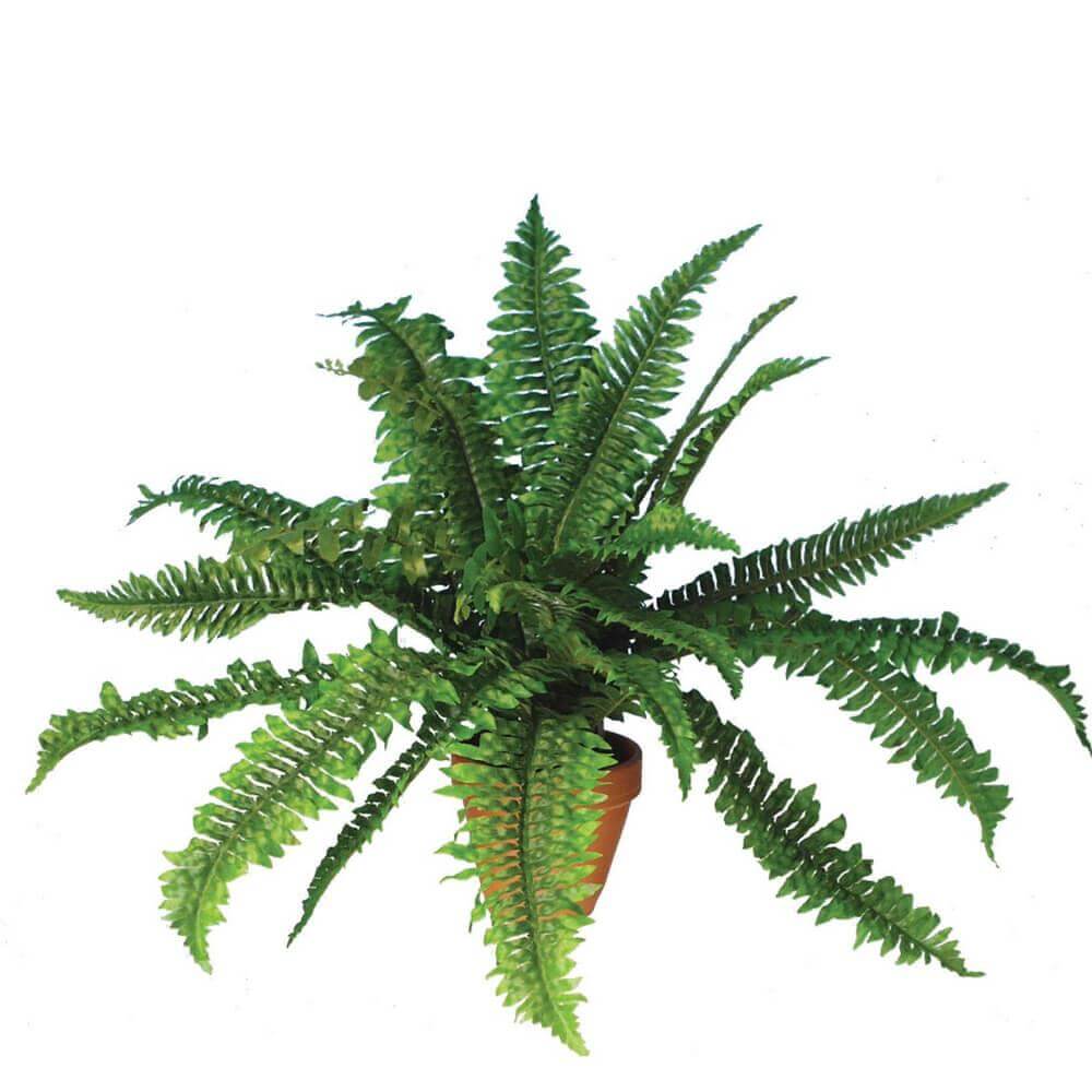 Floralsilk Faux Boston Fern in Plant Pot 36cm